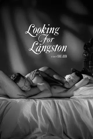 Looking For Langston