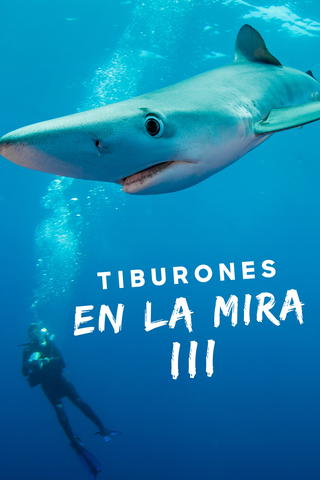 Tiburones en la mira 3