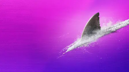 Tubarões e Cocaína