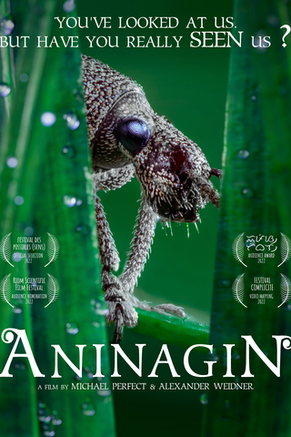 Aninagin