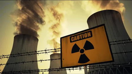 The Fukushima Disaster