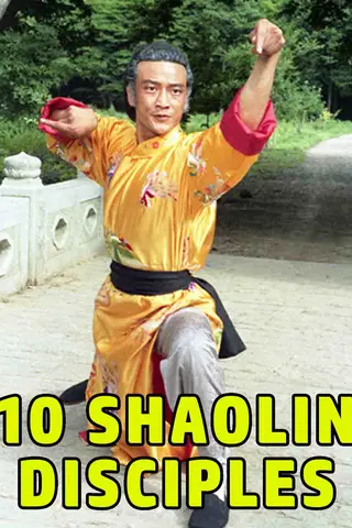 Shaolin Teenage Heroines