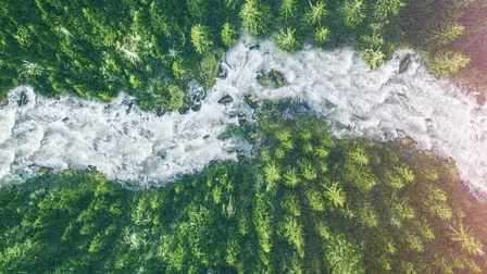 Wild Idaho - Die Aussteiger vom Salmon River