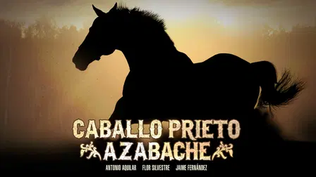 Caballo prieto azabache