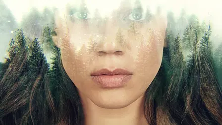 The Stranger