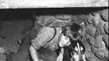 A Boy and His Dog