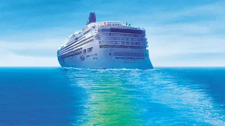 Todos A Bordo: El Crucero Familiar De Rosie