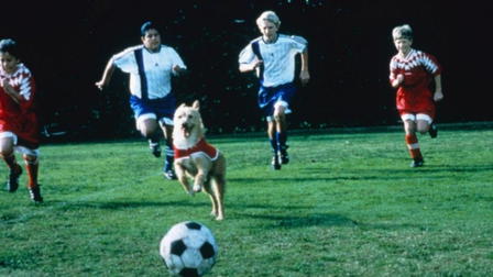 El perro futbolista