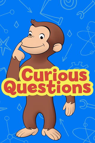 Curious Questions