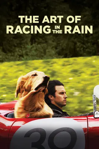 The Art of Racing in the Rain