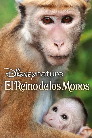 El reino de los monos
