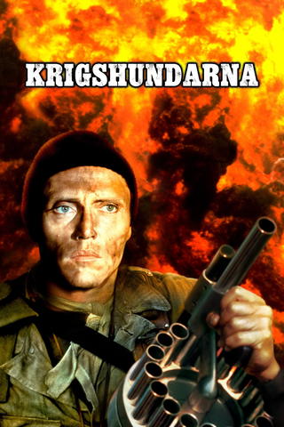 Krigshundarna