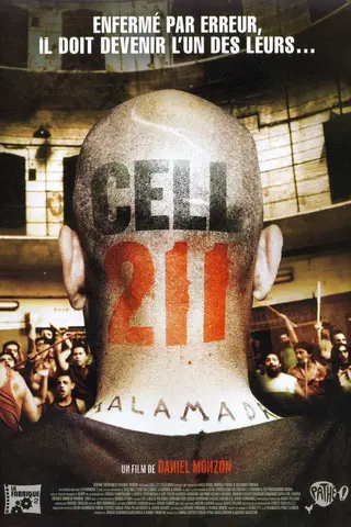 Cellule 211