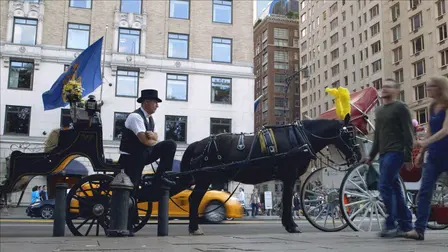 The Last Horsemen of New York