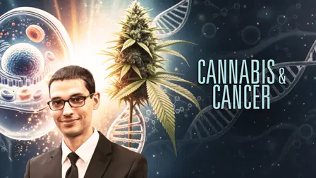 Cannabis and Cancer