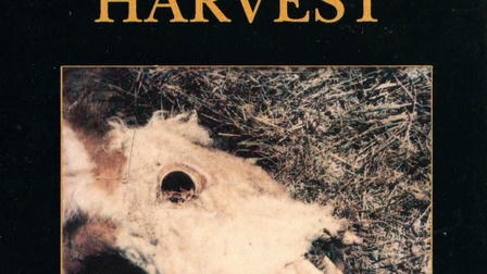 A Strange Harvest