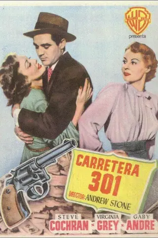 Carretera 301