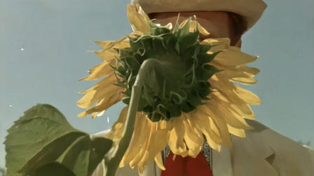 Der Sonne nach