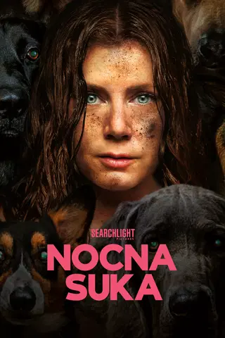 Nocna suka