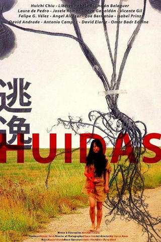 Huidas