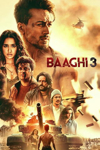 Baaghi 3