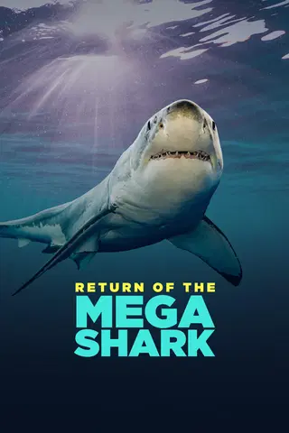 Return of the Megashark