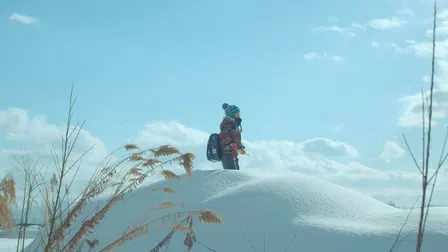 El viaje de Takara
