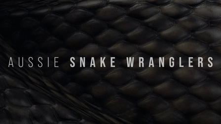 Aussie Snake Wranglers
