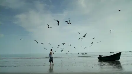 Fisherman