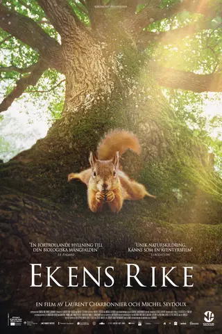 Ekens Rike