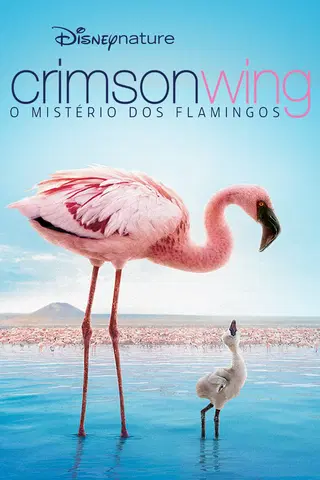Disneynature Crimson Wing: O Mistério dos Flamingos