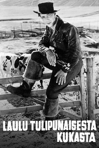 Laulu tulipunaisesta kukasta 