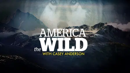 Expedition Wild with Casey Anderson
