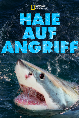 Auf der Spur der Killerhaie