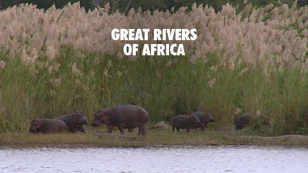 Great Rivers of Africa