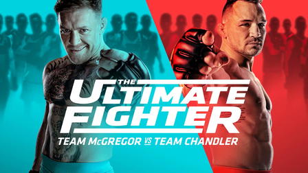 The Ultimate Fighter