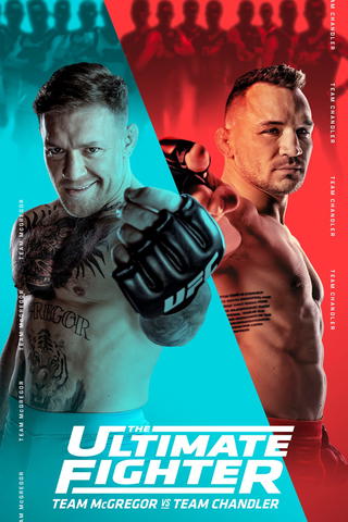 The Ultimate Fighter