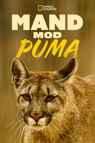 Mand mod puma