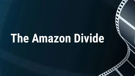 The Amazon Divide