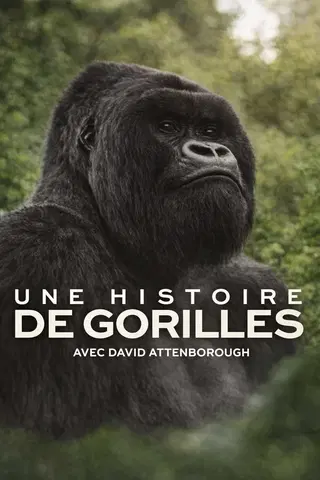 Une histoire de gorilles avec David Attenborough