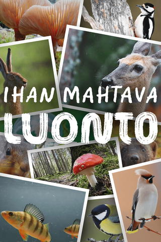 Ihan mahtava luonto (viittomakielelle tulkattuna)