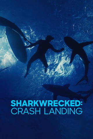 Sharkwrecked: Crash Landing