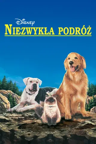 Niezwykła podróż
