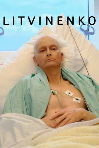 Litvinenko
