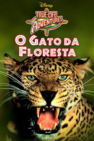 O Gato da Floresta
