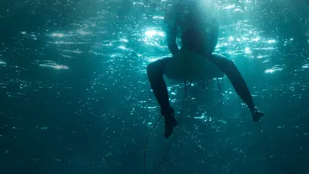 I Was Prey: Shark Week 2021