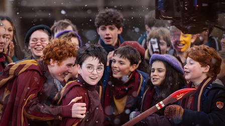 Harry Potter e a Pedra Filosofal
