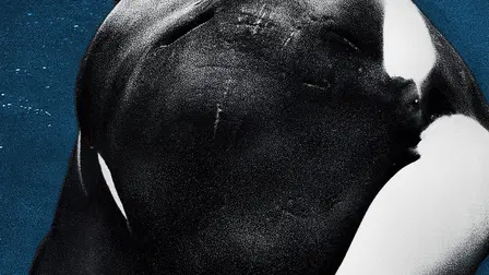 Blackfish: Der Killerwal
