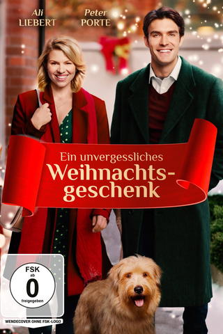 Ein unvergessliches Weihnachtsgeschenk