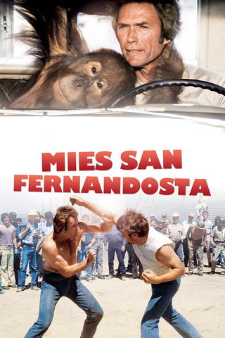 Mies San Fernandosta